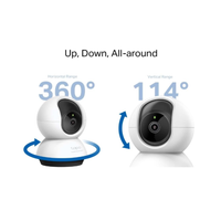 Two security cameras with range indicators on a white background