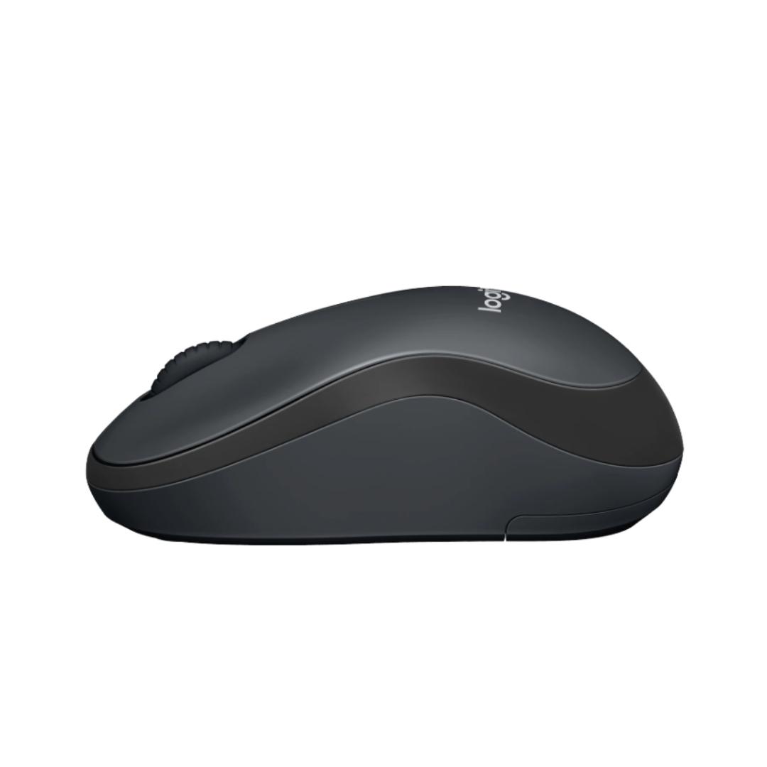 Black computer mouse on a white background