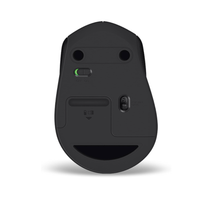 Black computer mouse on a white background