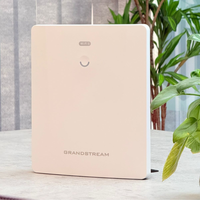 Beige Grandstream device on a surface with a plant in the background