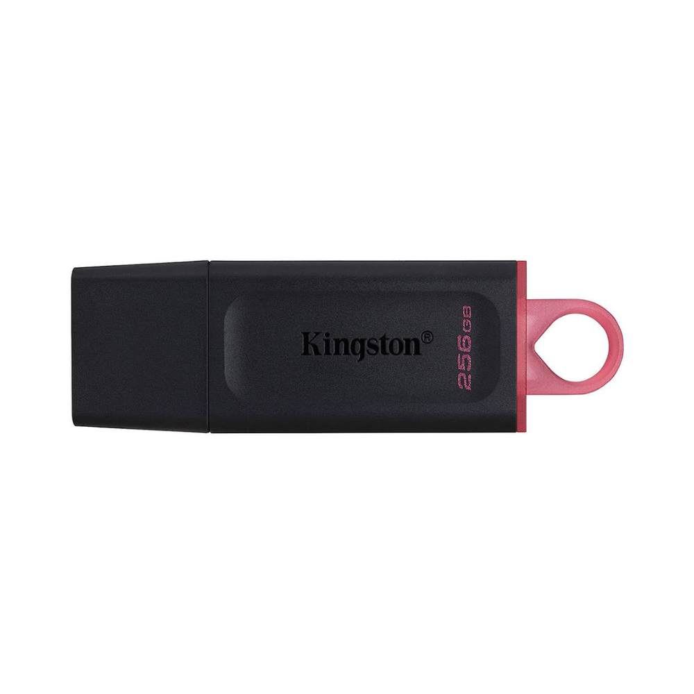 Kingston 256GB Flash Drive DTX