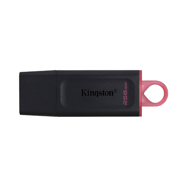 Kingston 256GB Flash Drive DTX