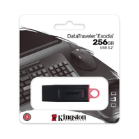 Kingston 256GB Flash Drive DTX