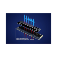 Lexar M.2 SSD 256GB LNM620 Nvme