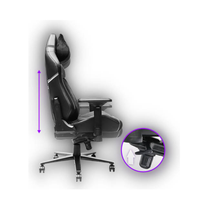 AXGON Ultimate Gaming Chair AX2CU2